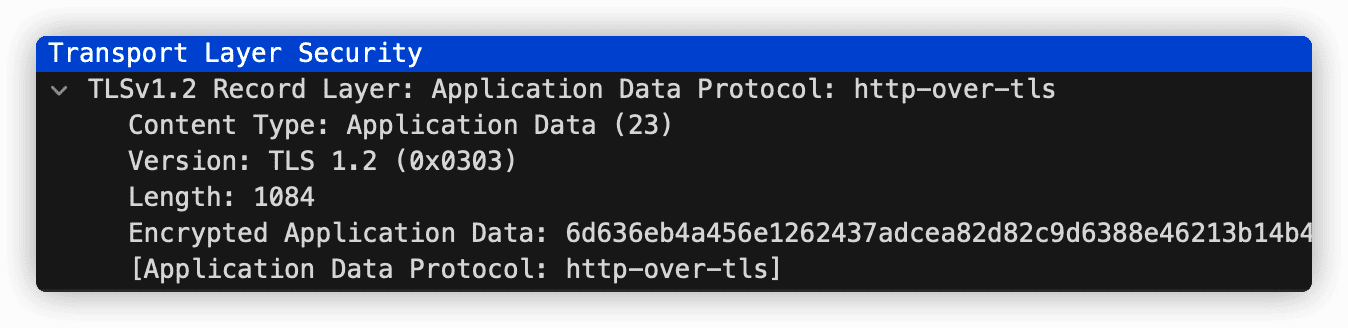 image-20221025234123160