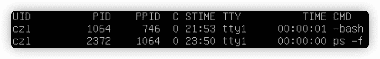 c3xwdQ